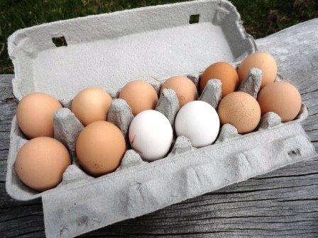 Free Range Eggs Whangarei Size 6