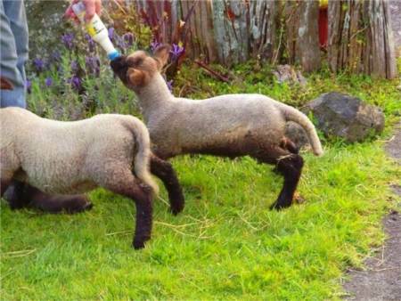 Standing on my own two feet - Mr Perkins is at the back