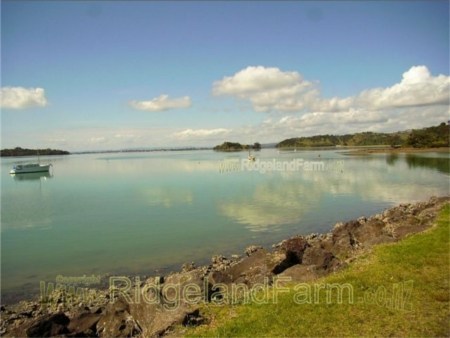 Parua Bay