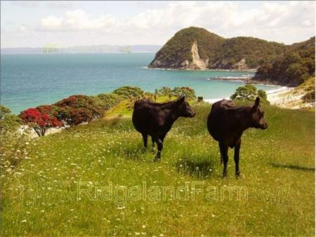 Smugglers Bay